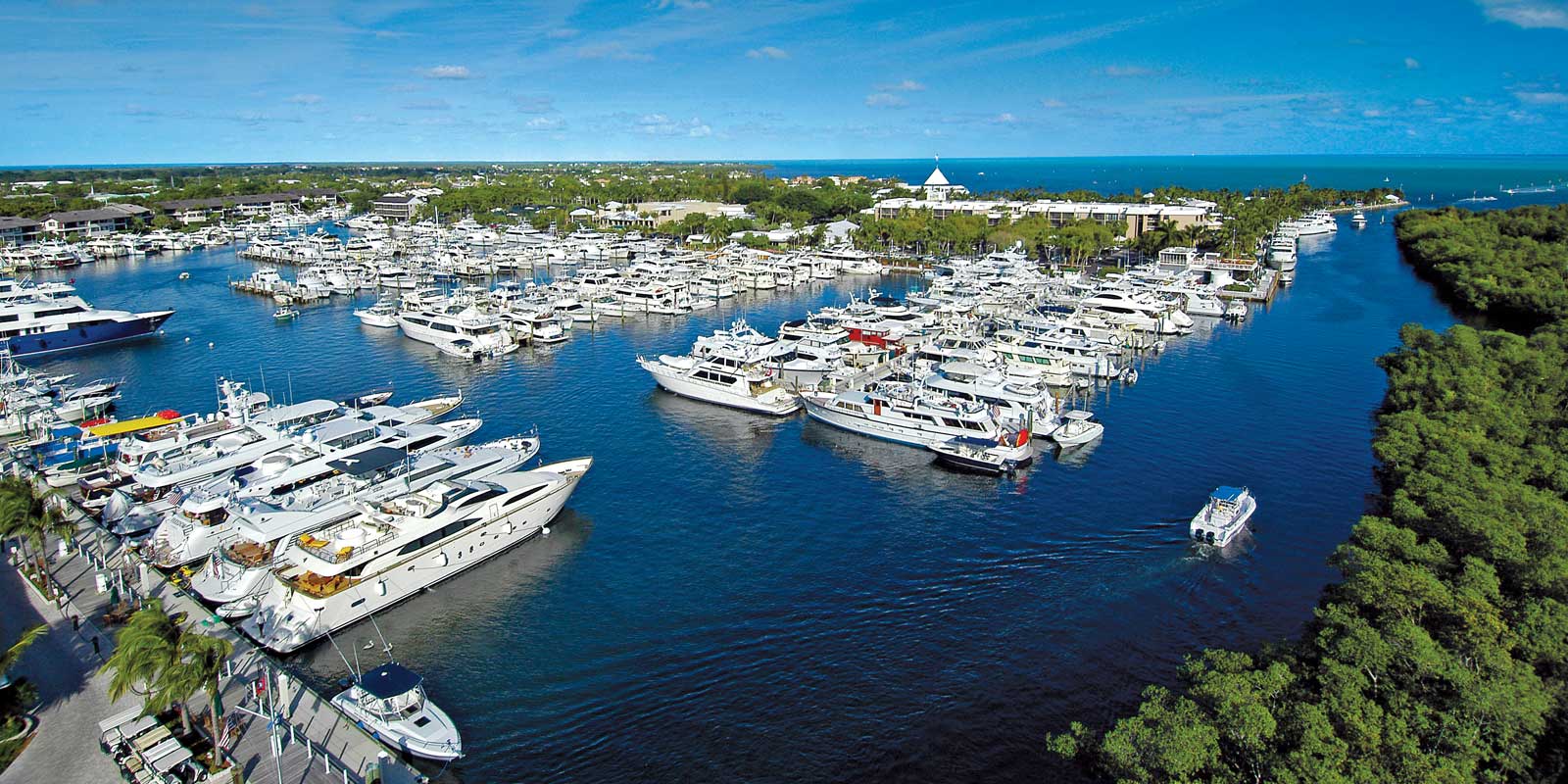 Ocean Reef Realty Digital Marketing Cotton & Company