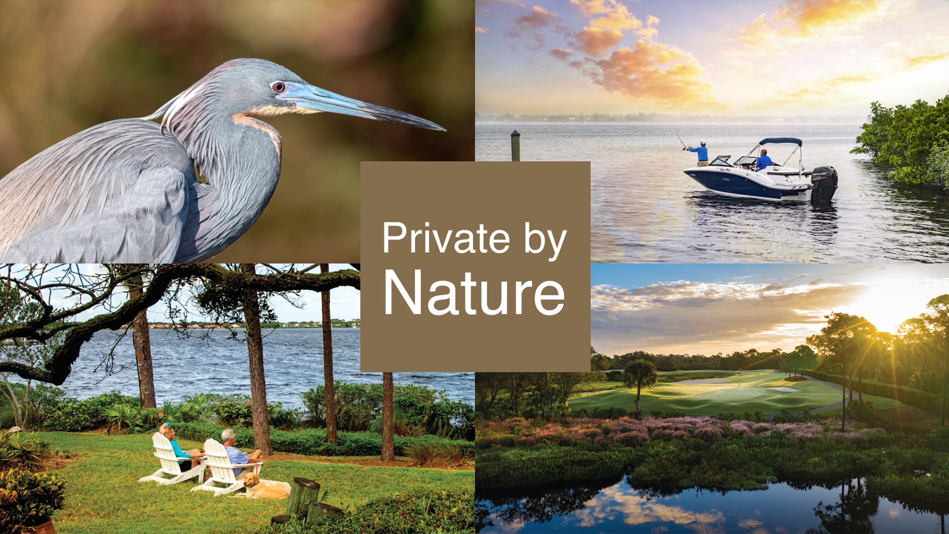 Harbour Ridge Branding Design