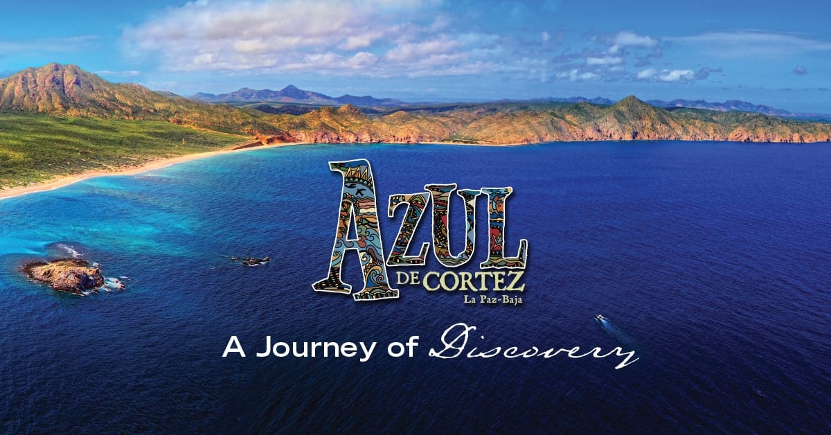 The Hidden Life Of Joan Porco A Journey Of Discovery - n3jgsu7