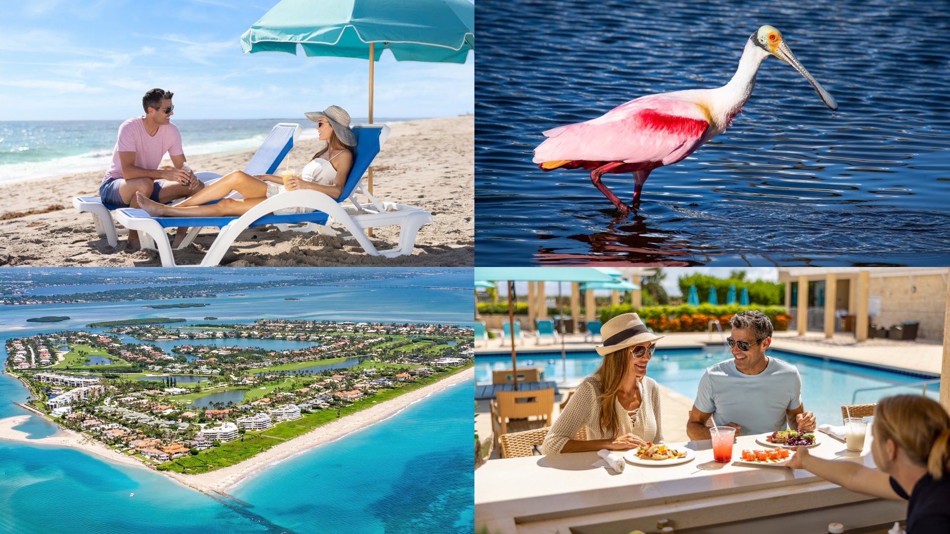 Sailfish Point Digital Design