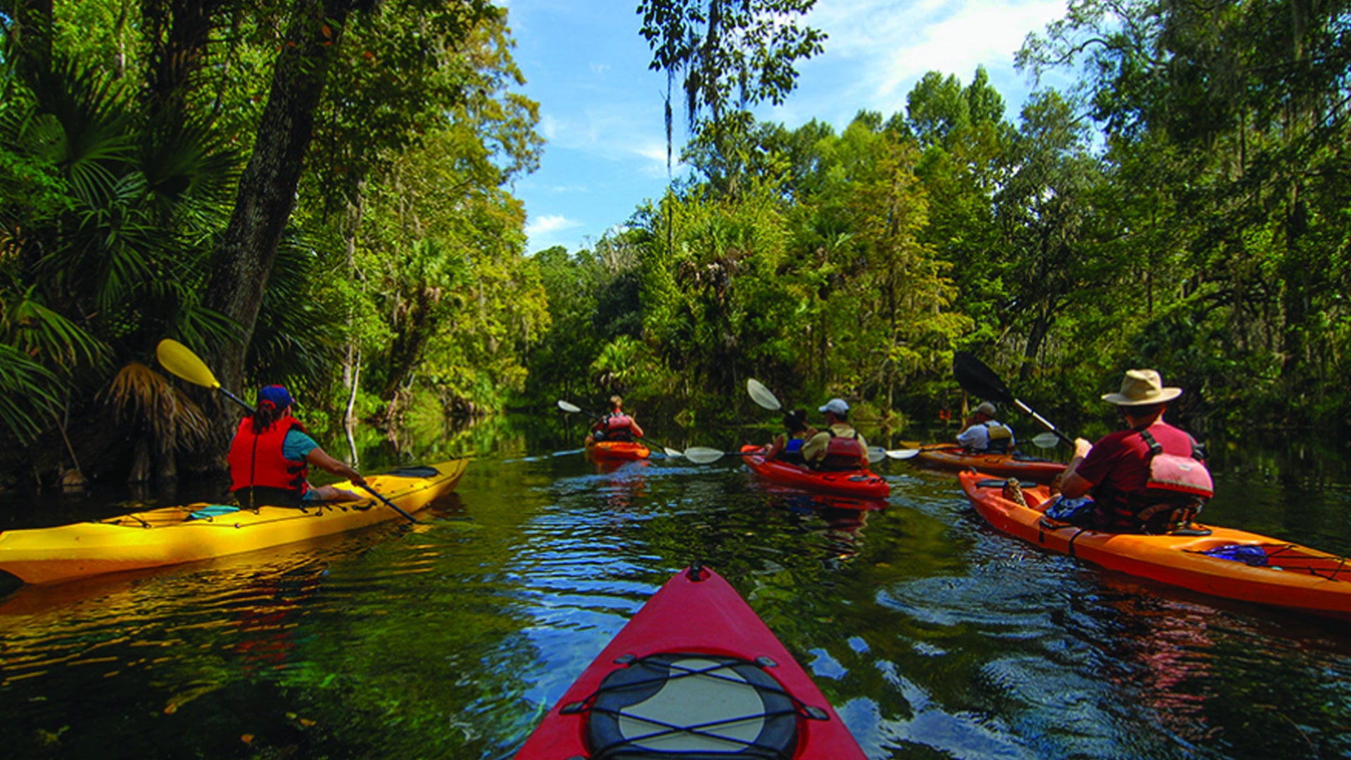 Live Wylder Digital Design