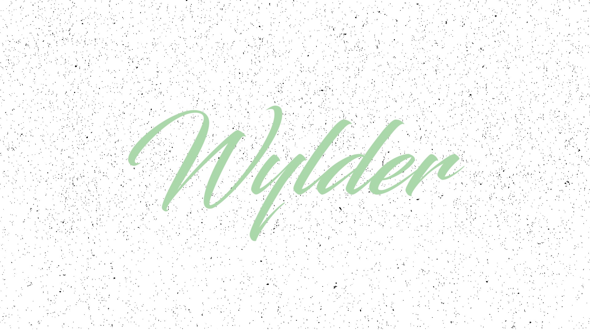 Live Wylder Branding Design