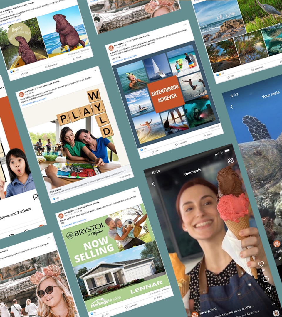 Live Wylder Digital Design