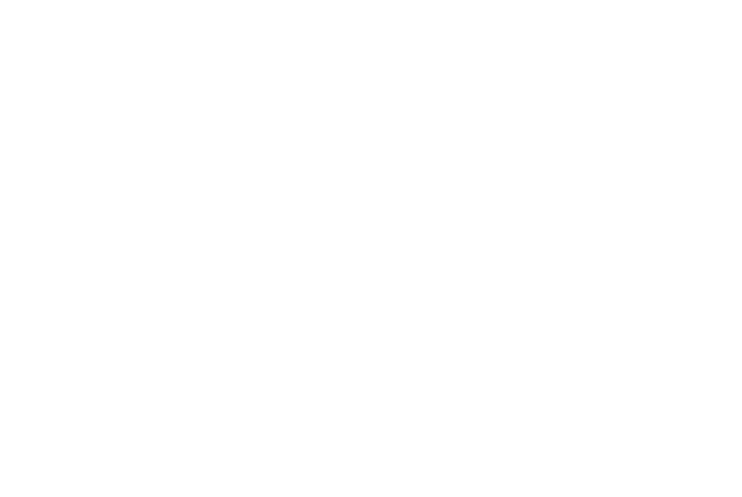 IBIS White Logo