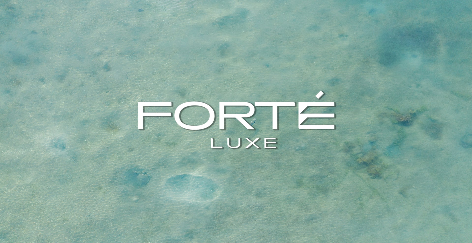 Forté Luxe Branding Design