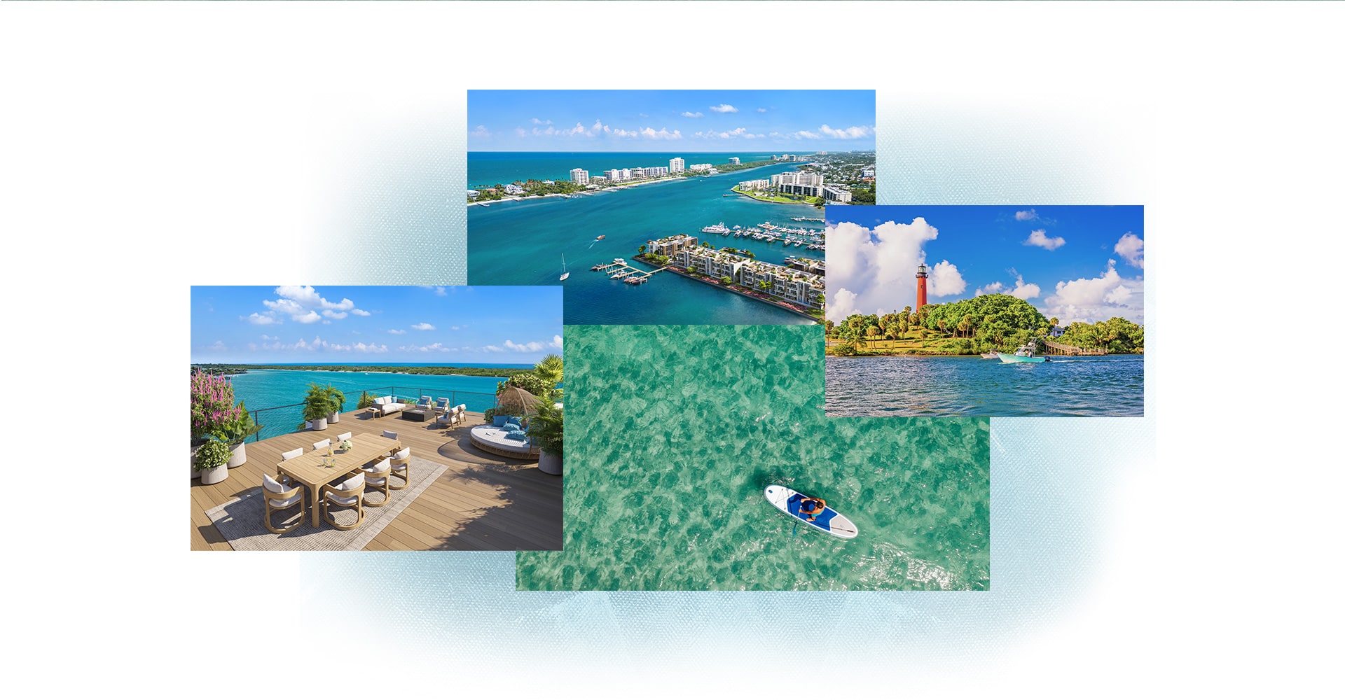 Forté Luxe Branding Design