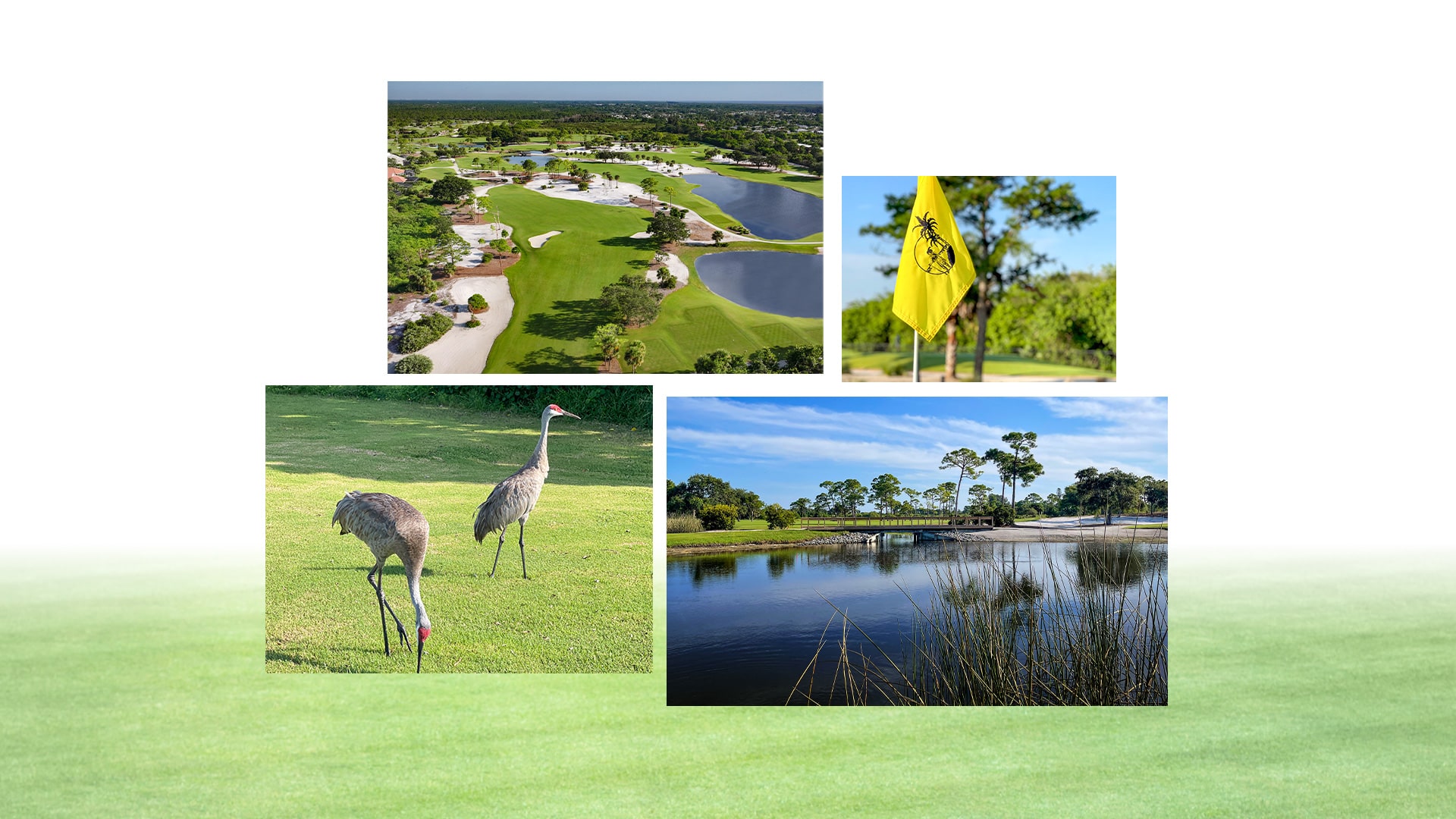 Hobe Sound Golf Club Branding Design
