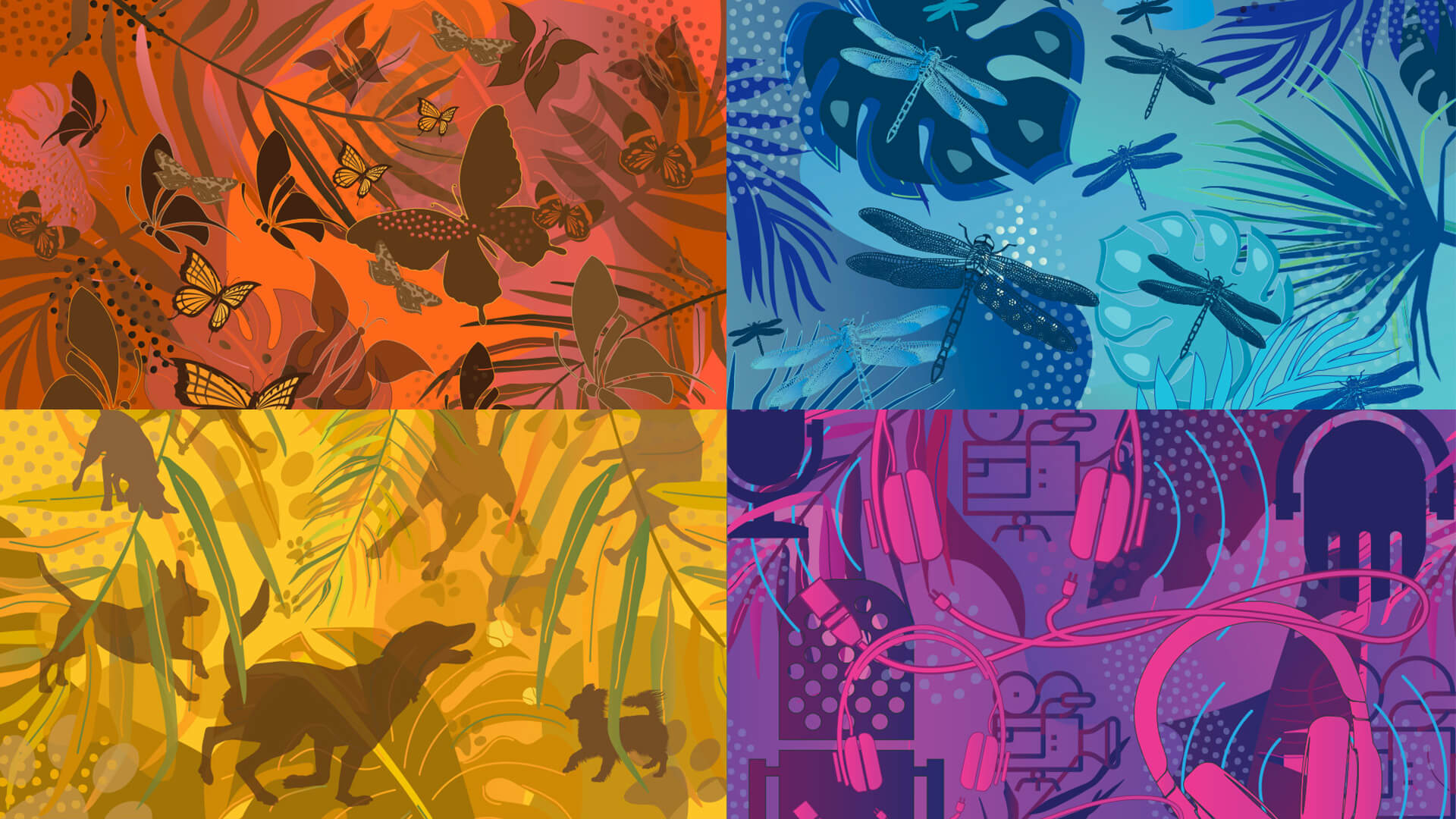 Storie Branding Design