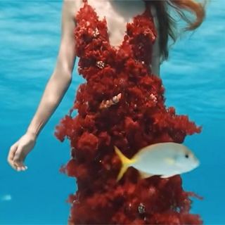 The Biggest Myth About AI in Creative Agencies and Why It Misses the Point