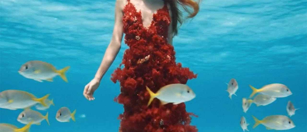 Person underwater wearing a flowing red textured dress surrounded by small fish.