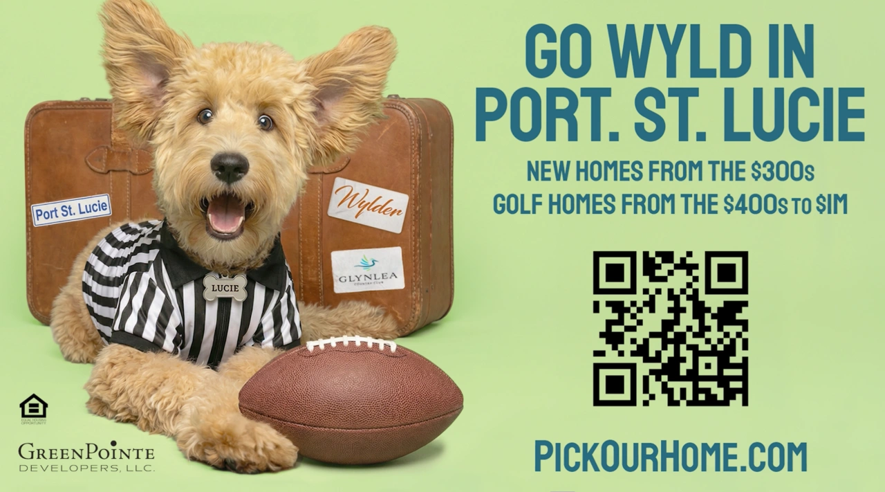 Referee dog beside suitcase and football with QR code