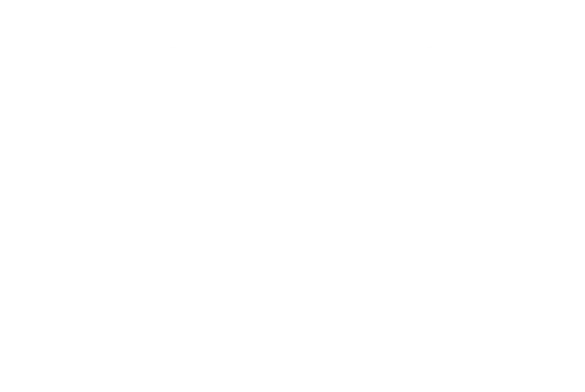 IBIS White Logo