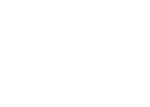 West Bay Realty White Logo